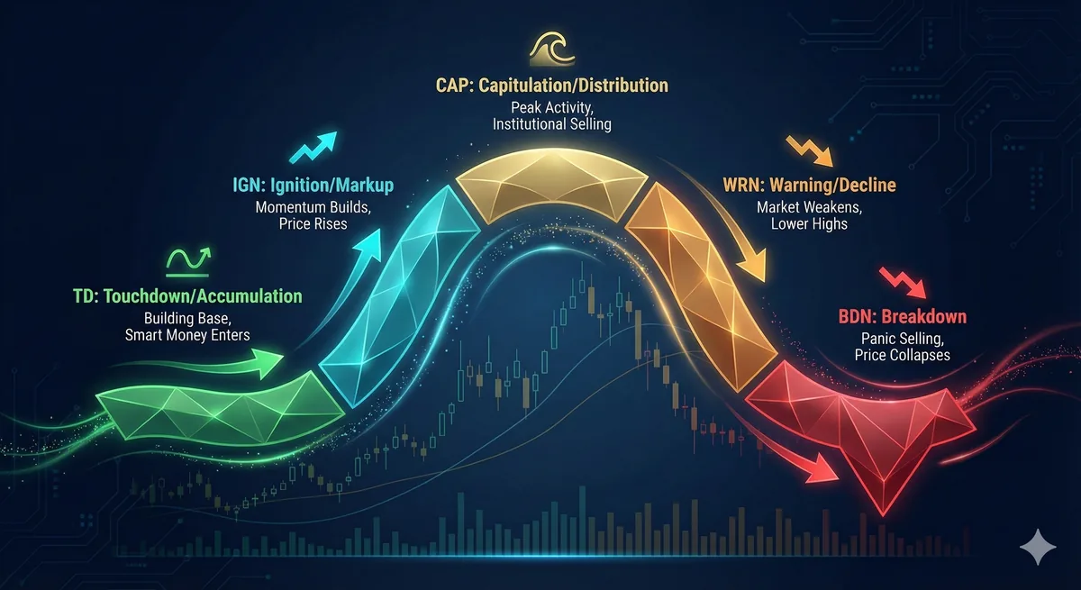 Market cycles visualization